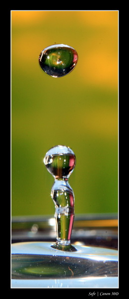 2007   01   goutte 03